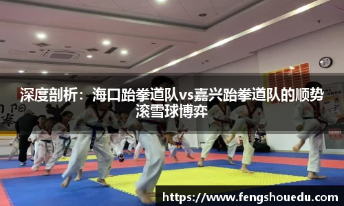 深度剖析：海口跆拳道队vs嘉兴跆拳道队的顺势滚雪球博弈